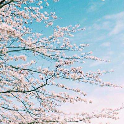 星空体育网站入口